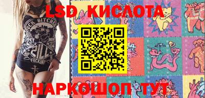 ГАЛЛЮЦИНОГЕННЫЕ ГРИБЫ Тара