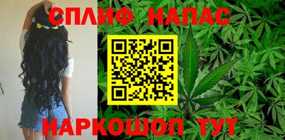 ГАЛЛЮЦИНОГЕННЫЕ ГРИБЫ Тара