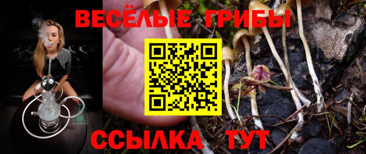Псилоцибиновые грибы Psilocybine cubensis  Псилоцибиновые грибы Cubensis  Вход с VPN  цена наркотик  Курчатов 