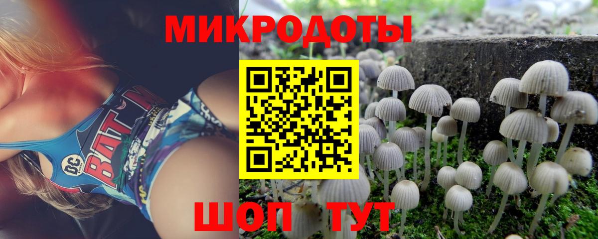 Псилоцибиновые грибы MAGIC MUSHROOMS Курчатов